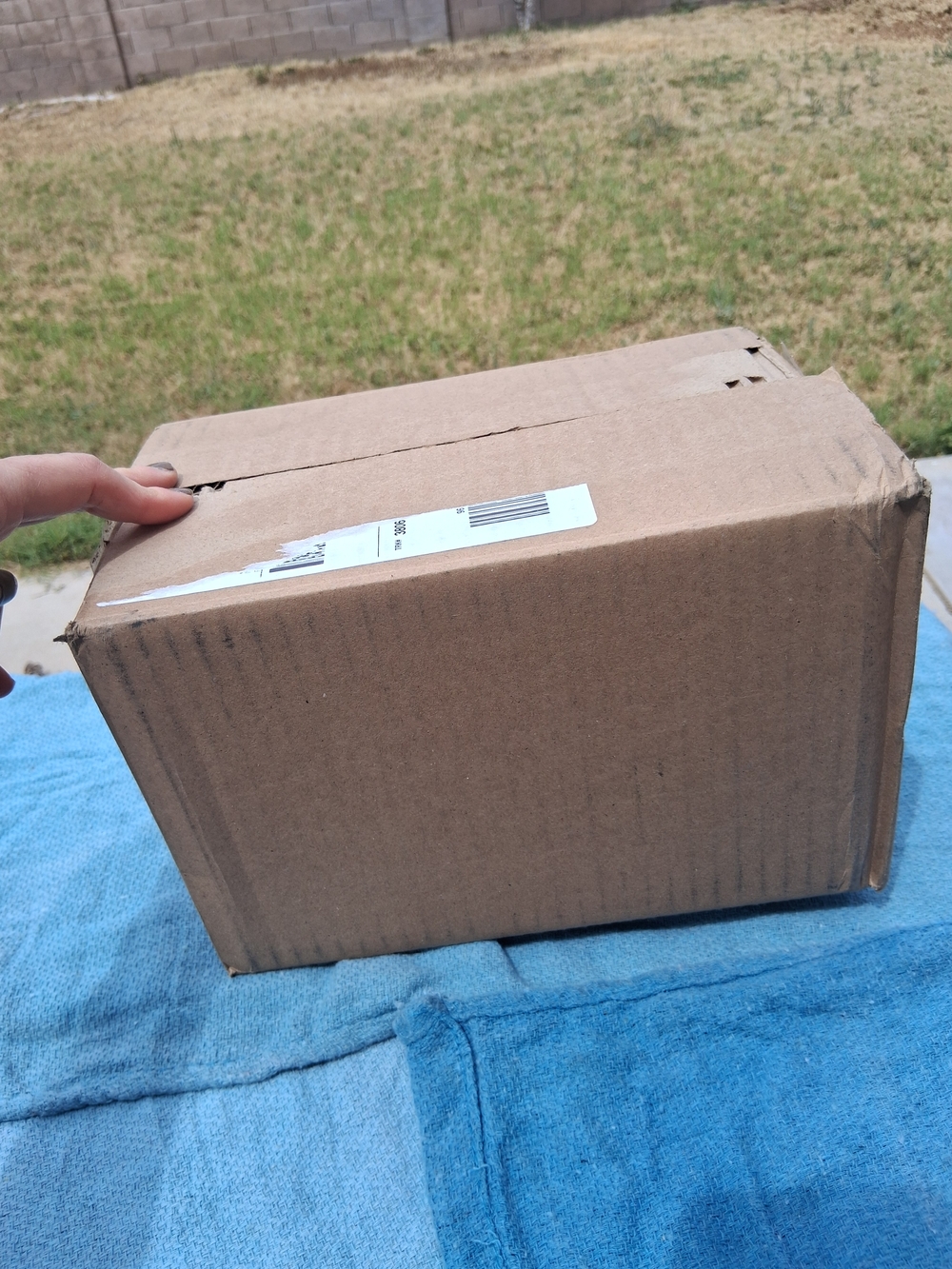 Mystery Box